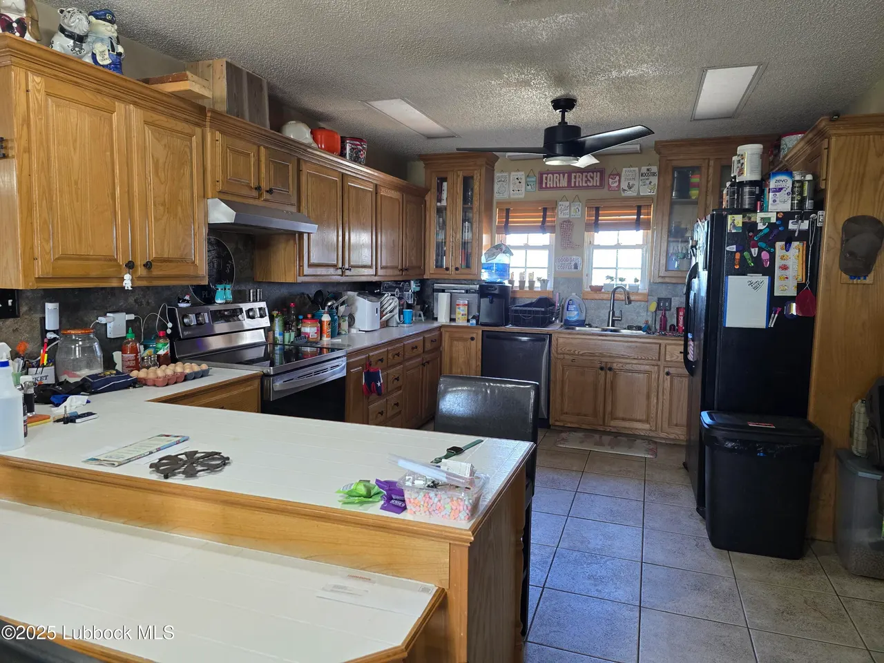 Photo 10 — 390 County Road P, Edmonson, TX 79032