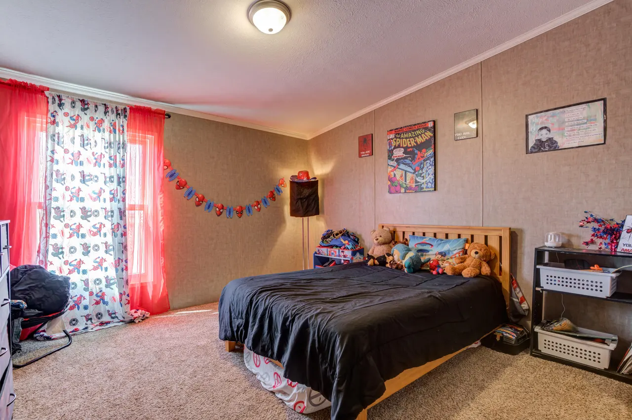Photo 39 — 4726 County Road 5300, Lubbock, TX 79415