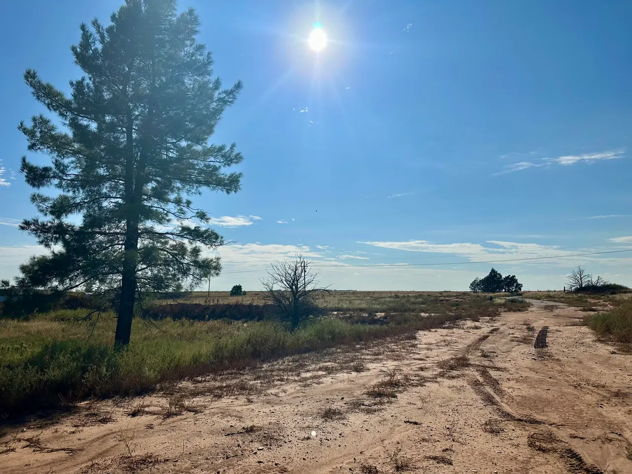 Photo 5 — 13822 N F M 1264, Lubbock, TX 79403
