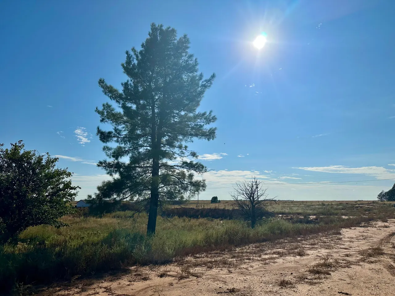 Photo 6 — 13822 N F M 1264, Lubbock, TX 79403
