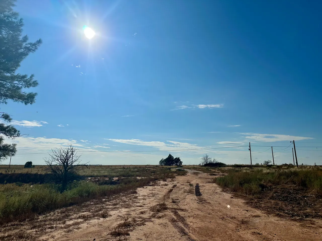 Photo 8 — 13822 N F M 1264, Lubbock, TX 79403