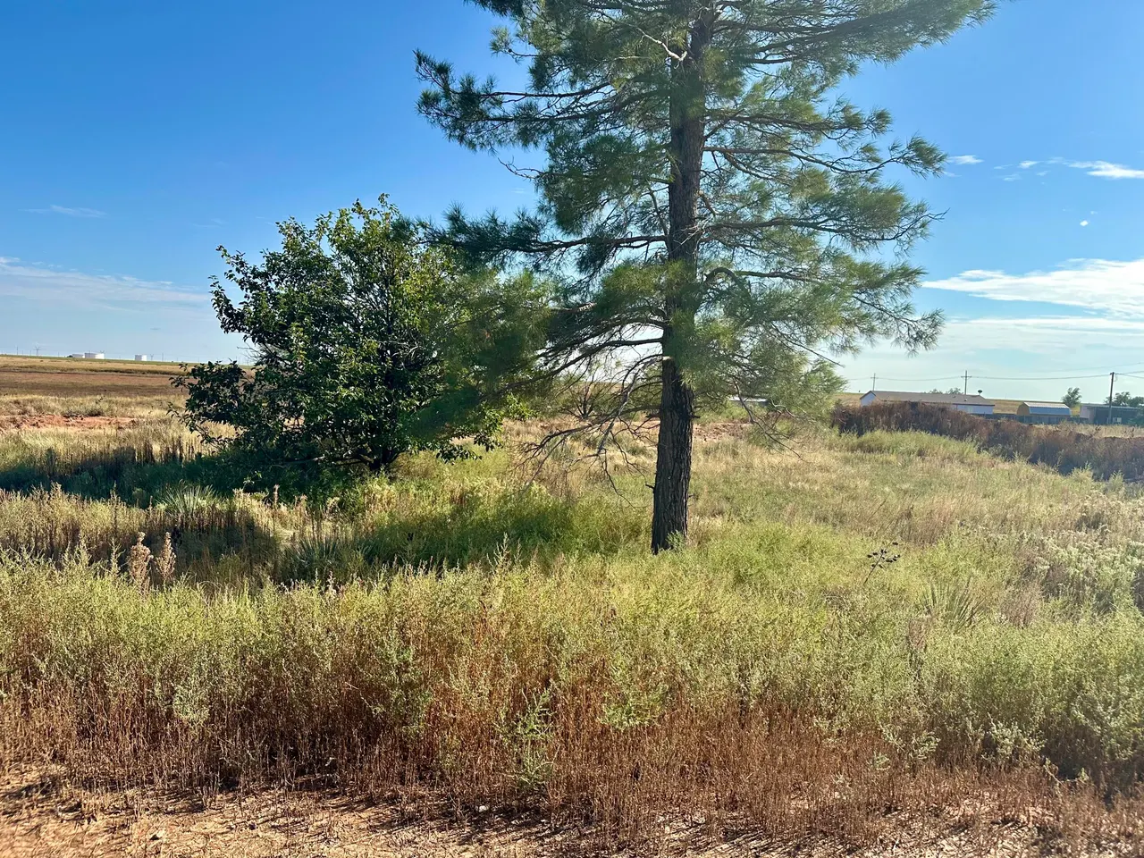 Photo 9 — 13822 N F M 1264, Lubbock, TX 79403