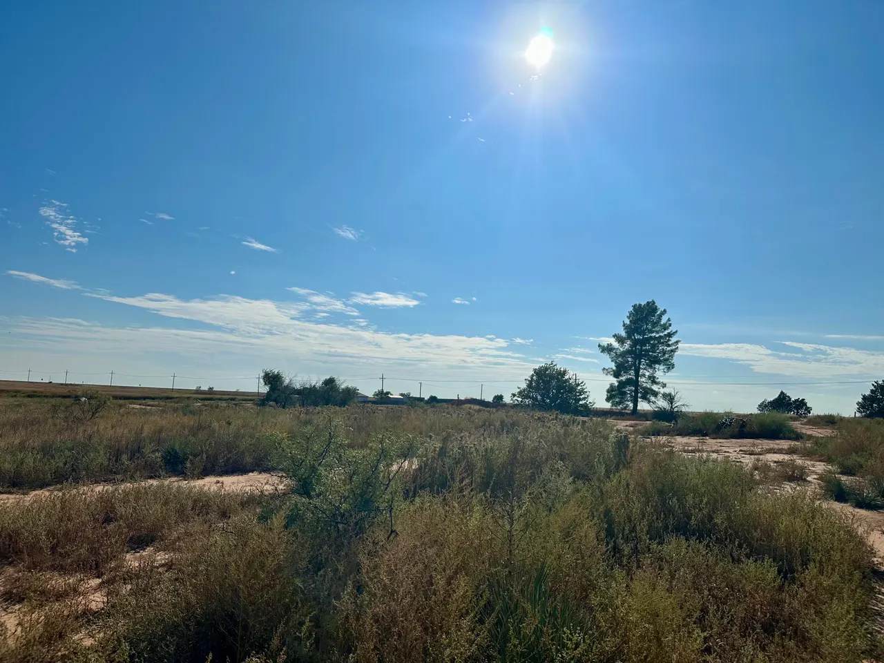 Photo 10 — 13822 N F M 1264, Lubbock, TX 79403
