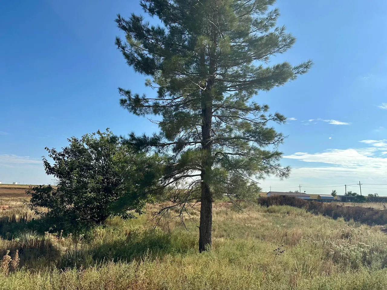 Photo 12 — 13822 N F M 1264, Lubbock, TX 79403