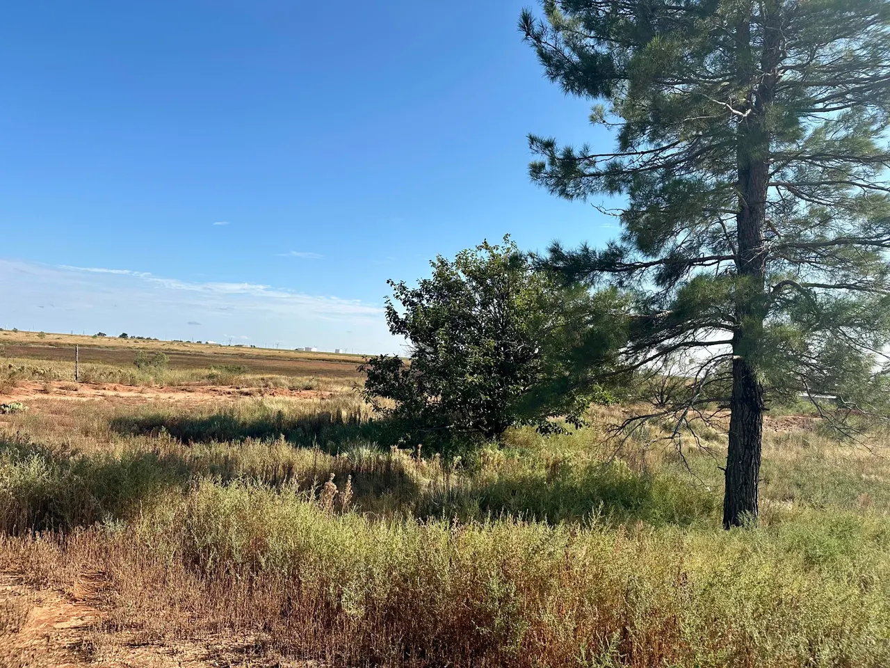 Photo 13 — 13822 N F M 1264, Lubbock, TX 79403