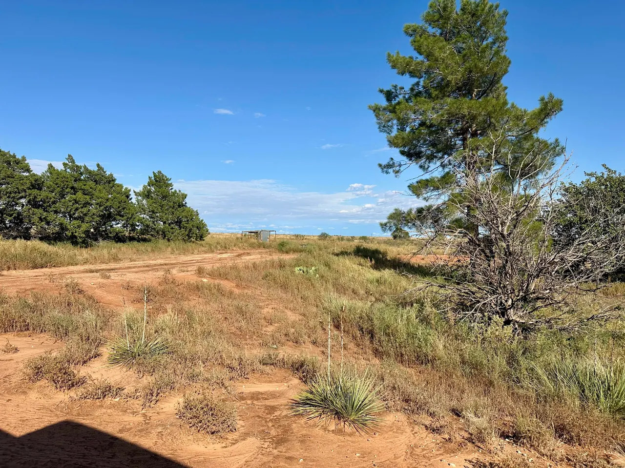 Photo 17 — 13822 N F M 1264, Lubbock, TX 79403