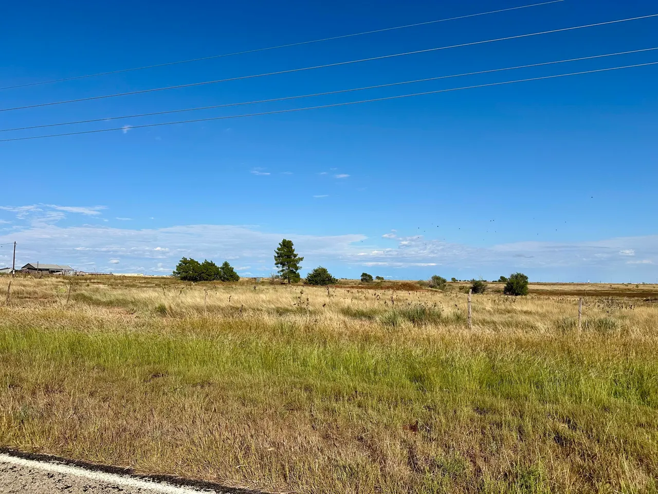 Photo 20 — 13822 N F M 1264, Lubbock, TX 79403