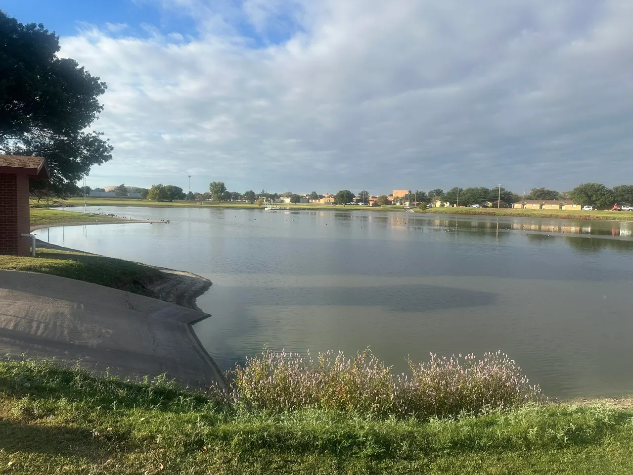 Photo 19 — 509 Holly Street, Levelland, TX 79336