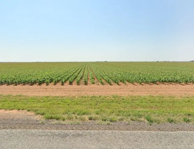 Front exterior — 706 E F M 597, Abernathy, TX 79311
