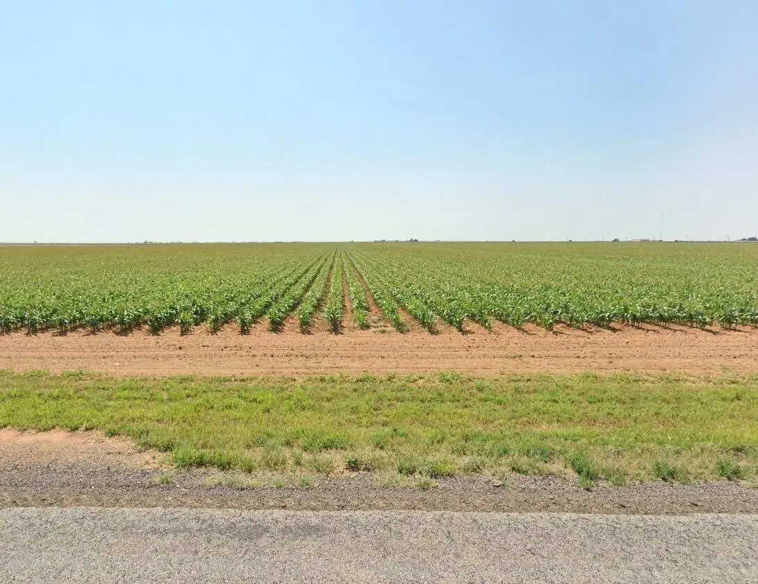 Front exterior — 806 E F M 597, Abernathy, TX 79311