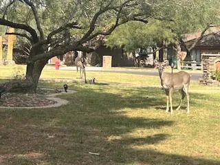 Photo 28 — 60 E Canyon View Drive, Ransom Canyon, TX 79366