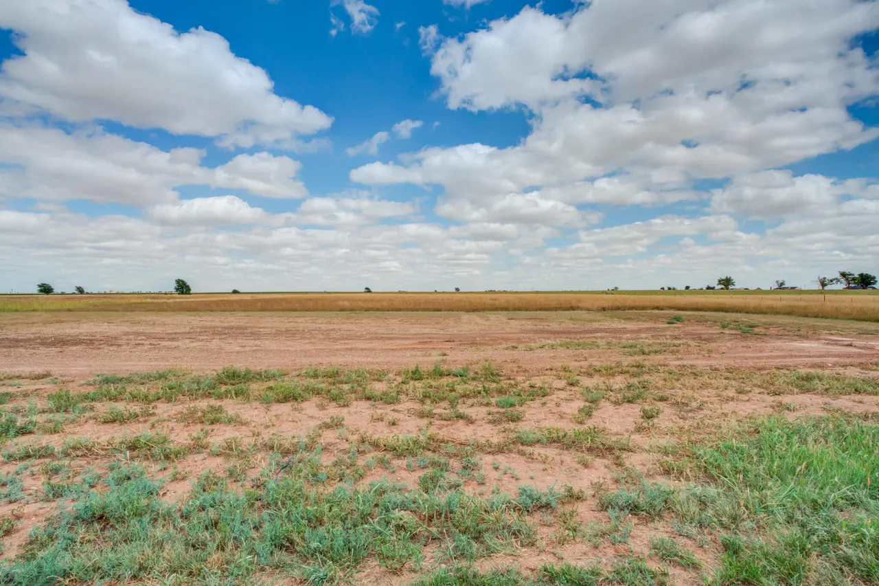 Photo 38 — 16812 N County Road 1200, Shallowater, TX 79363