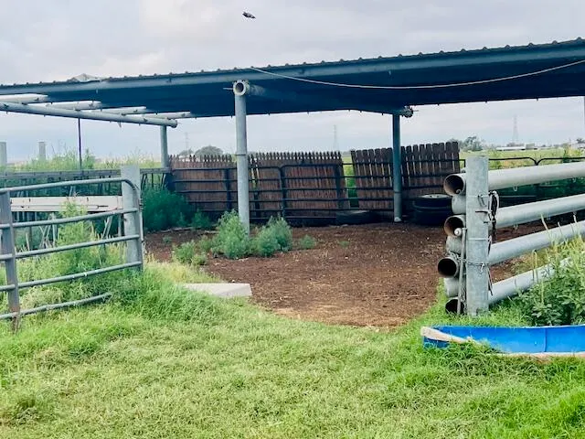 Front exterior — 6318 E County Rd 6500, Lubbock, TX 79403