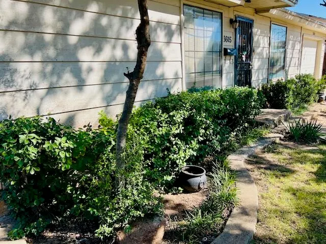 Photo 7 — 3605 Avenue F, Lubbock, TX 79404