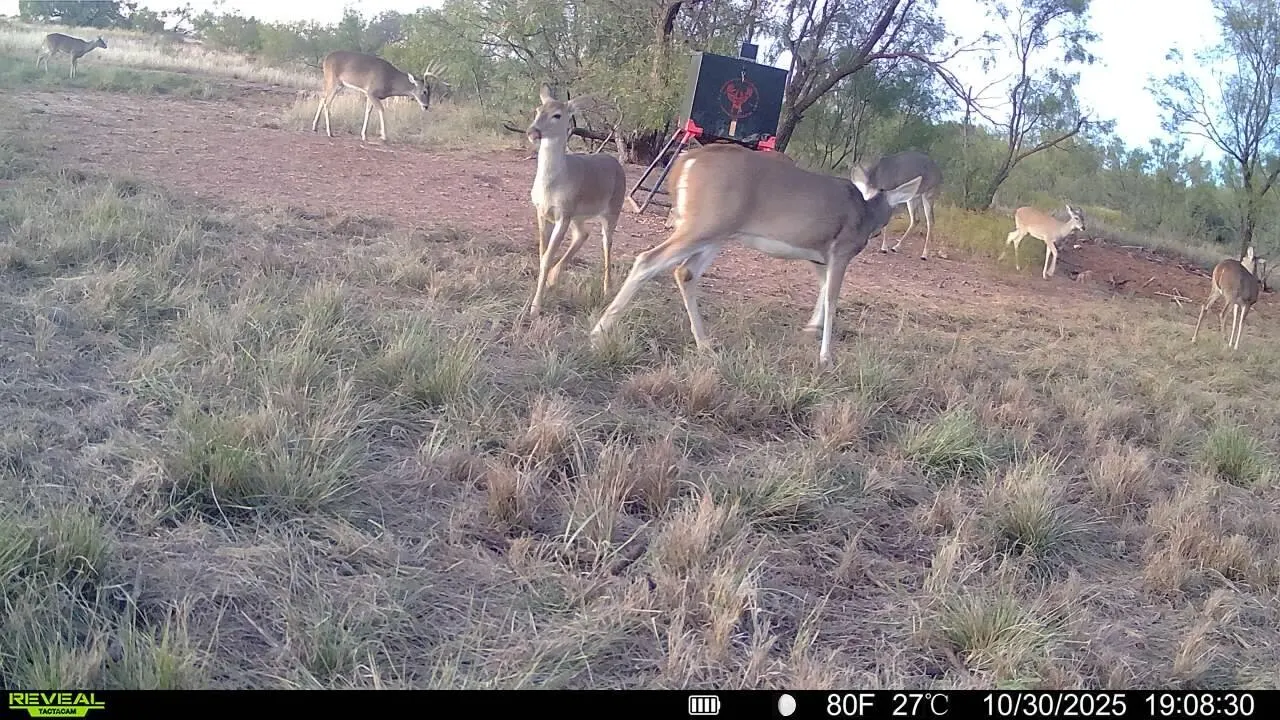 Photo 51 — 2365  CR 355, Justiceburg, TX 79330