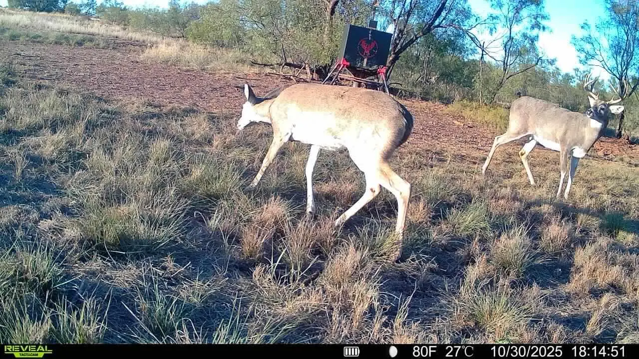 Photo 54 — 2365  CR 355, Justiceburg, TX 79330