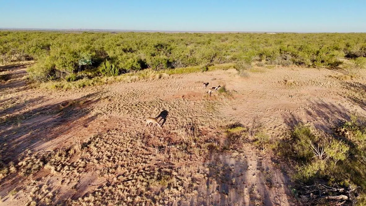 Photo 20 — 2365  CR 355, Justiceburg, TX 79330