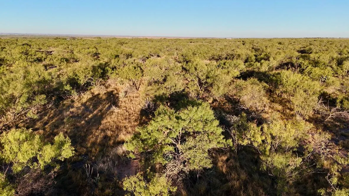 Photo 21 — 2365  CR 355, Justiceburg, TX 79330
