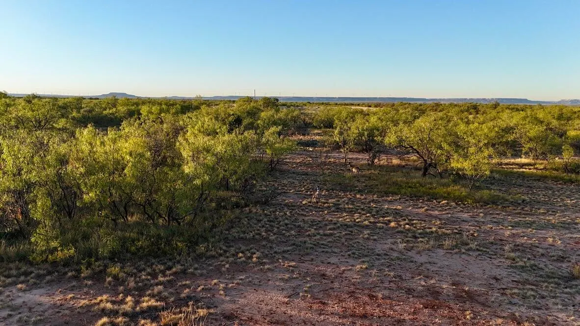 Photo 24 — 2365  CR 355, Justiceburg, TX 79330