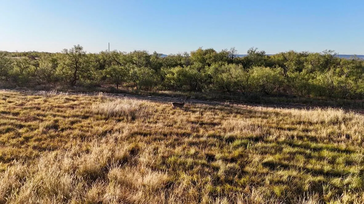 Photo 25 — 2365  CR 355, Justiceburg, TX 79330