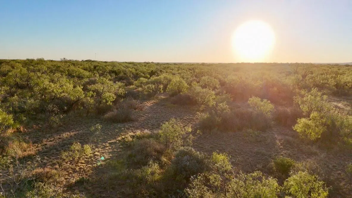 Photo 26 — 2365  CR 355, Justiceburg, TX 79330