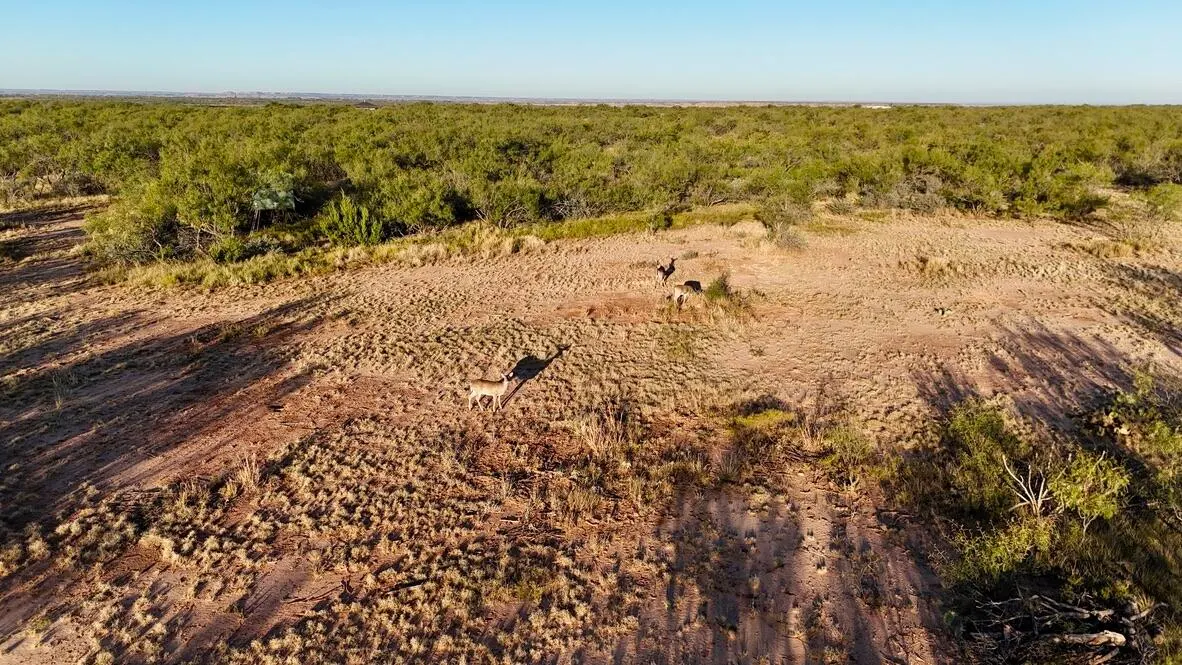 Photo 30 — 2365  CR 355, Justiceburg, TX 79330