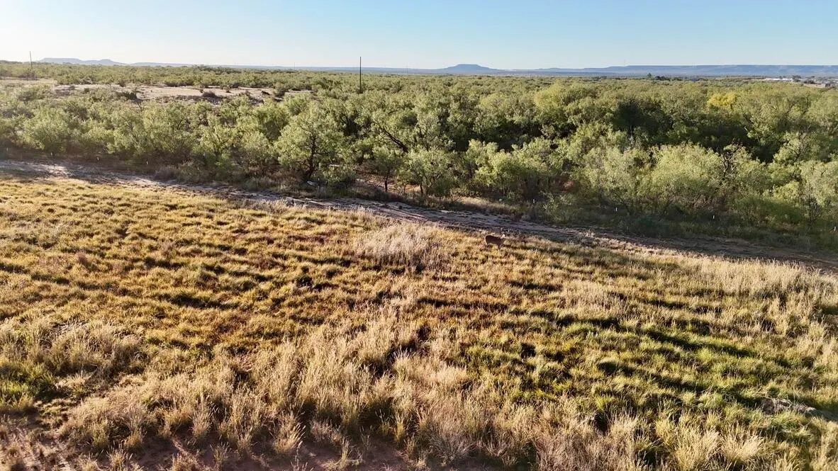 Photo 32 — 2365  CR 355, Justiceburg, TX 79330