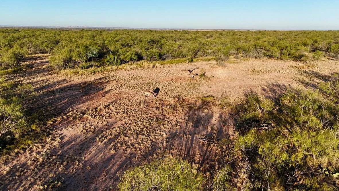Photo 33 — 2365  CR 355, Justiceburg, TX 79330