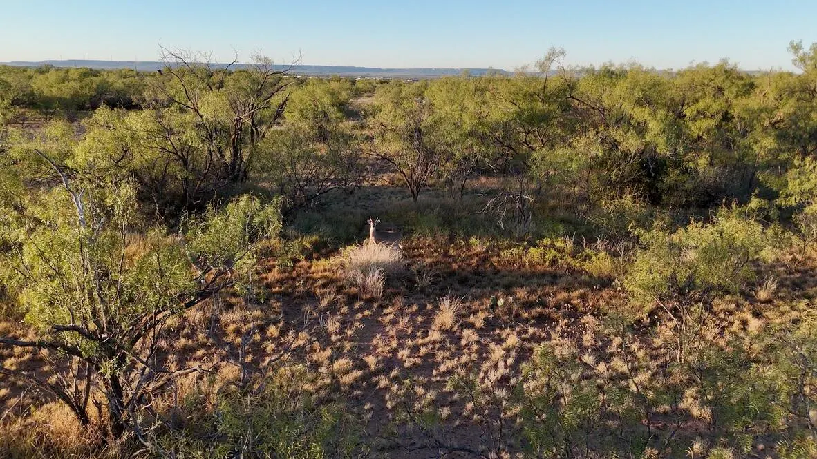 Photo 36 — 2365  CR 355, Justiceburg, TX 79330