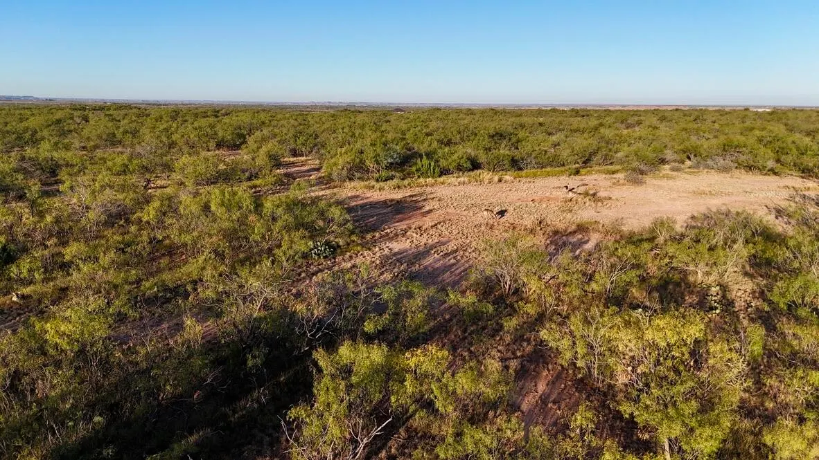 Photo 40 — 2365  CR 355, Justiceburg, TX 79330