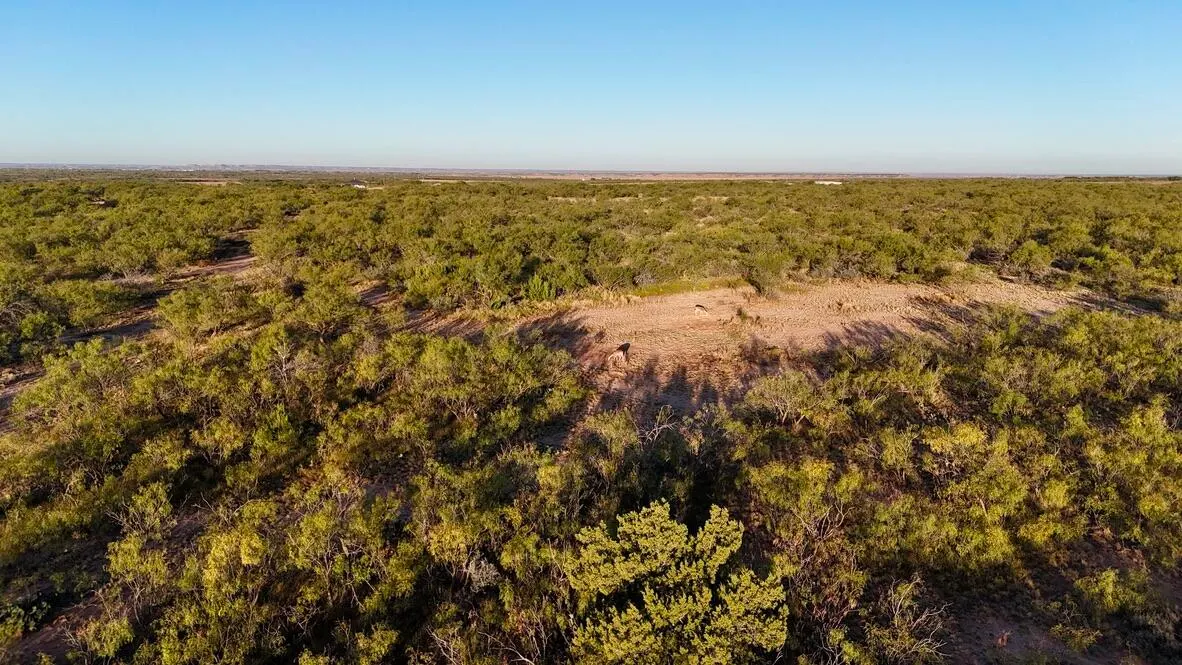 Photo 44 — 2365  CR 355, Justiceburg, TX 79330