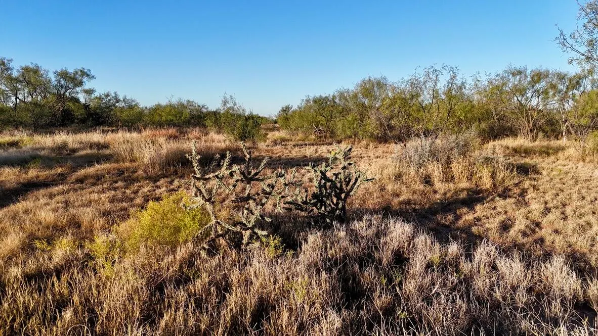 Photo 45 — 2365  CR 355, Justiceburg, TX 79330