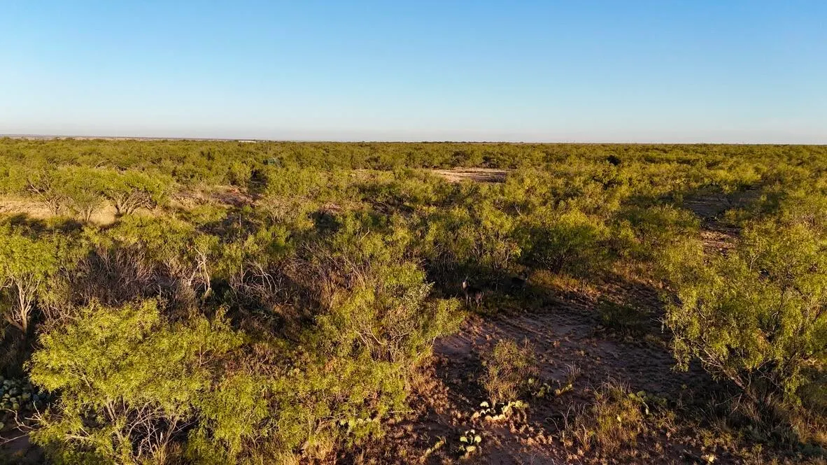 Photo 18 — 2365  CR 355, Justiceburg, TX 79330