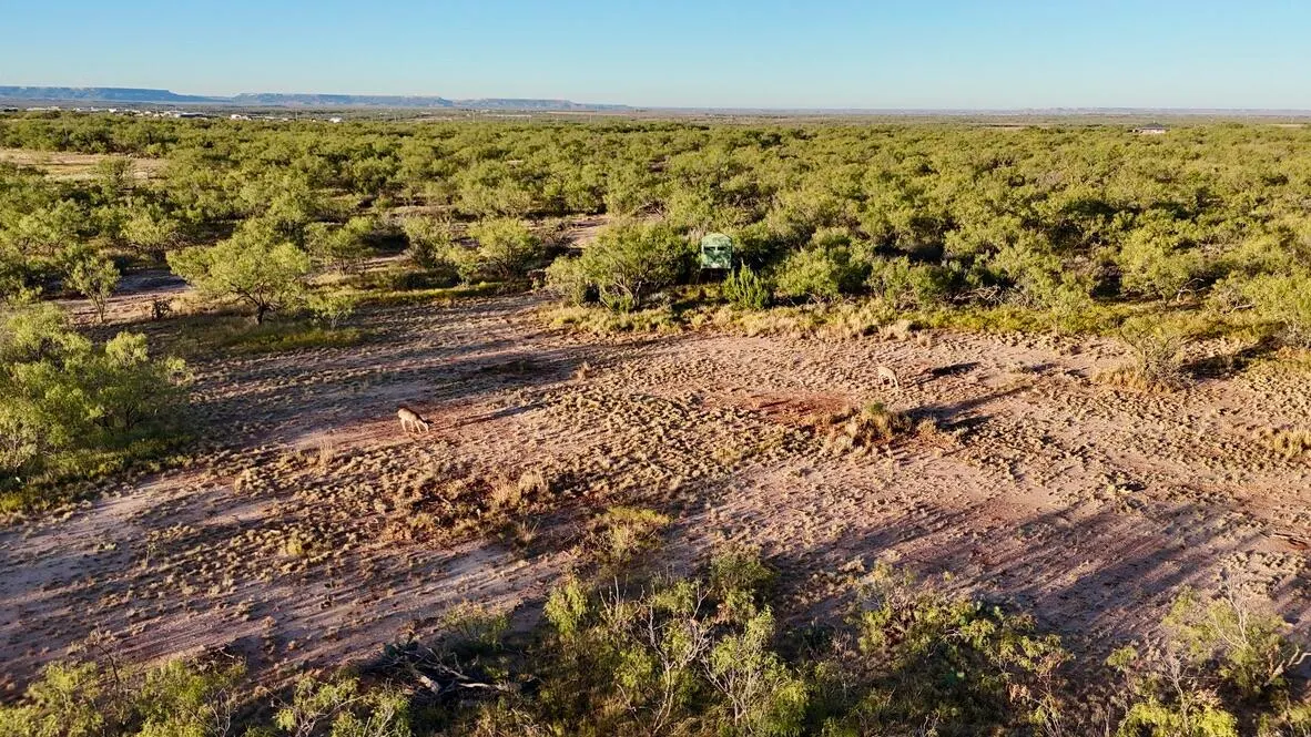 Photo 17 — 2365  CR 355, Justiceburg, TX 79330
