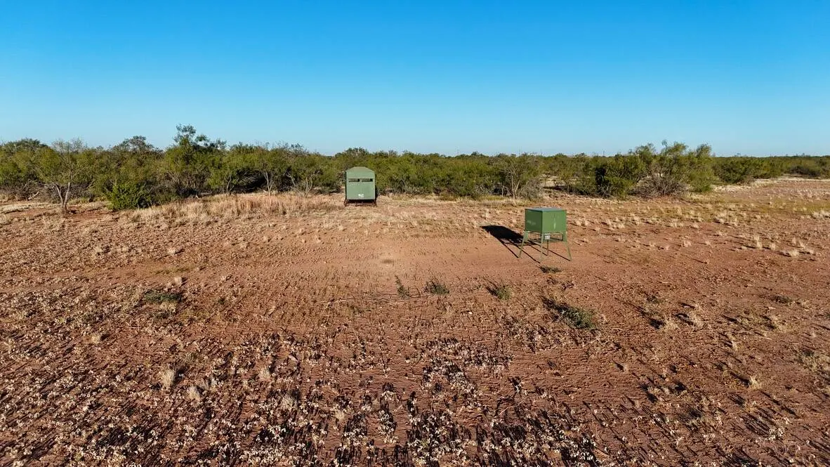 Photo 10 — 2365  CR 355, Justiceburg, TX 79330