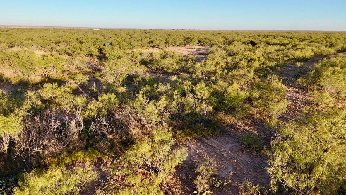 Photo 16 — 2365  CR 355, Justiceburg, TX 79330