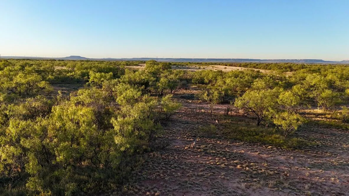 Photo 14 — 2365  CR 355, Justiceburg, TX 79330