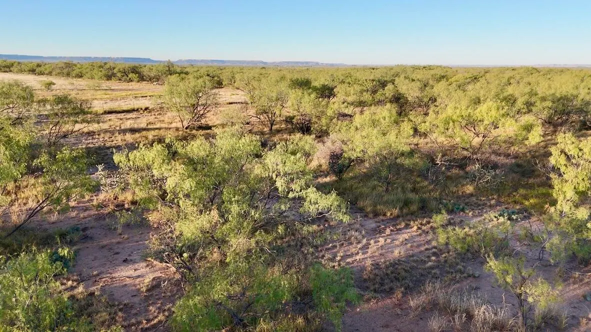 Photo 12 — 2365  CR 355, Justiceburg, TX 79330