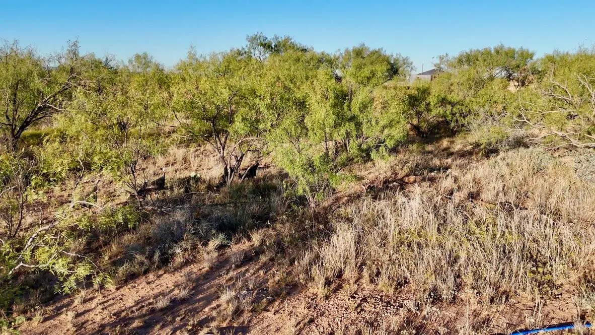 Photo 11 — 2365  CR 355, Justiceburg, TX 79330