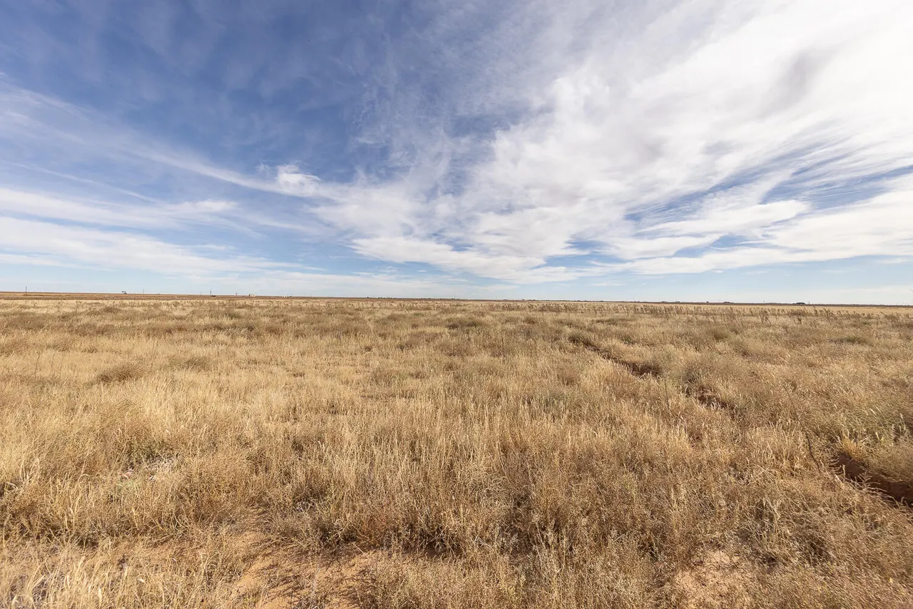 Photo 36 — 6510 County Rd 1100, Shallowater, TX 79363