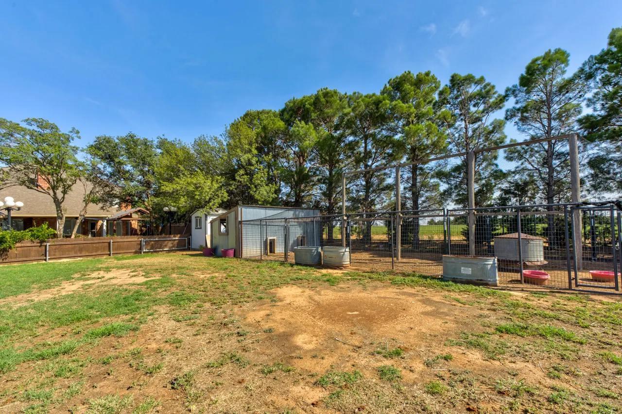 Photo 61 — 544 Us Highway 87, Wilson, TX 79381