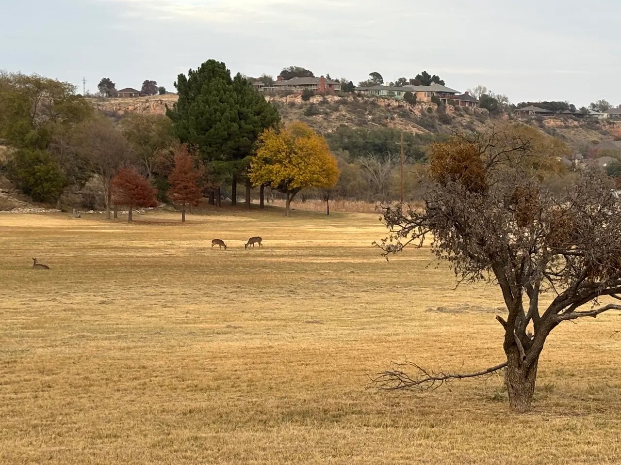 Photo 77 — 98 S Lakeshore Drive, Ransom Canyon, TX 79366
