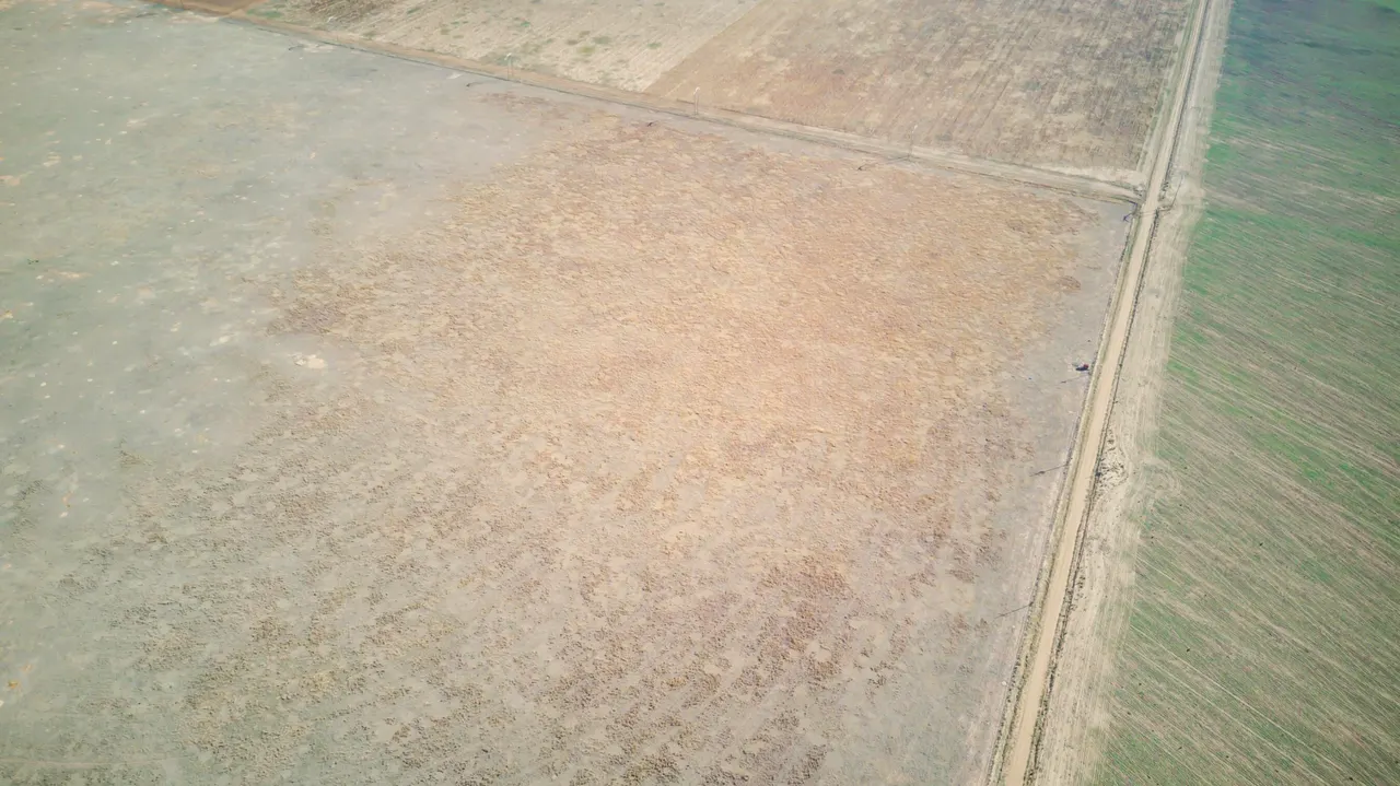 Photo 14 — FM Highway 54 / Tract 10, Abernathy, TX 79311