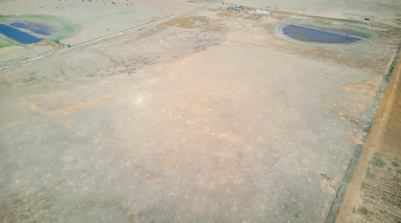 Photo 9 — FM Highway 54 / Tract 3, Abernathy, TX 79311