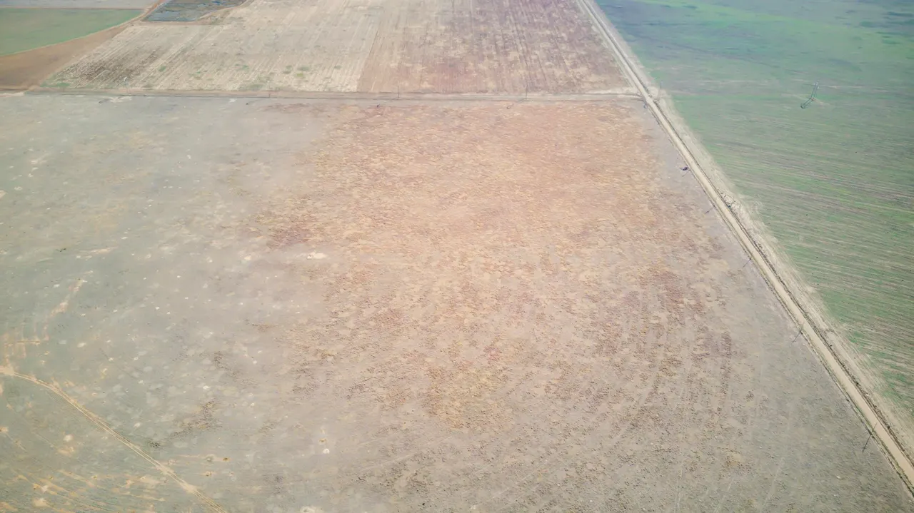 Photo 17 — FM Highway 54 / Tract 3, Abernathy, TX 79311