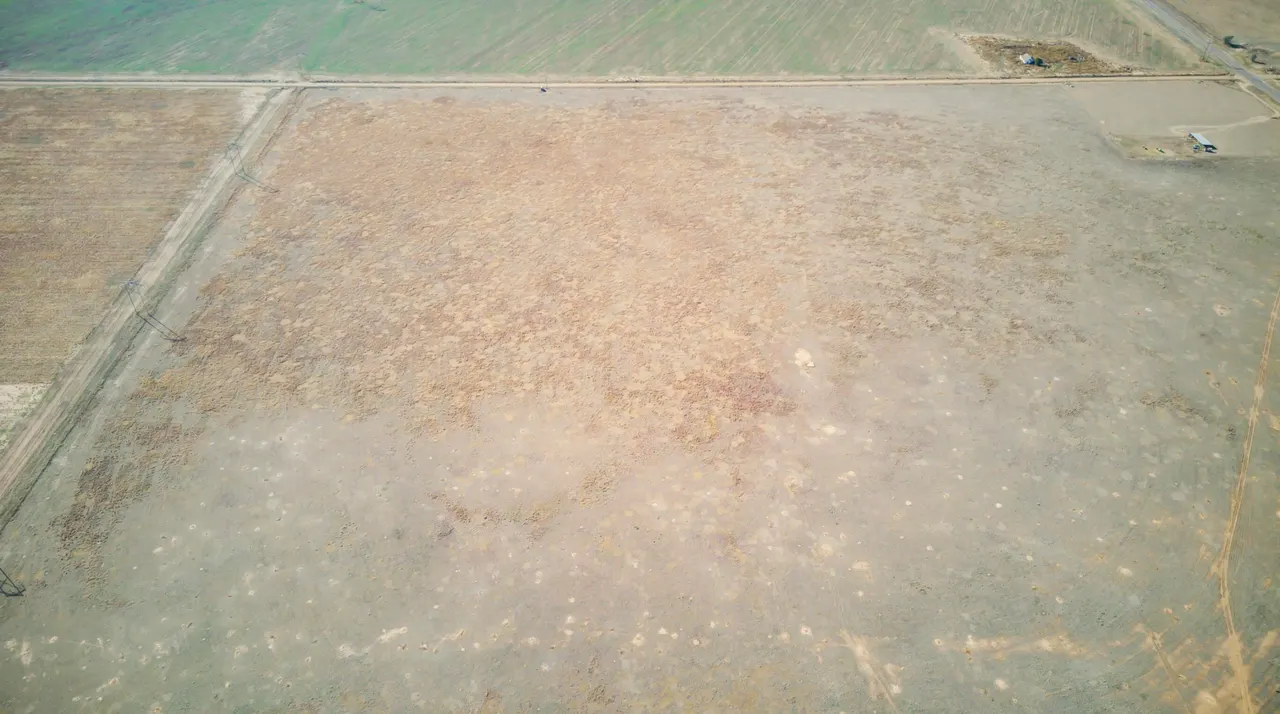Photo 19 — FM Highway 54 / Tract 3, Abernathy, TX 79311
