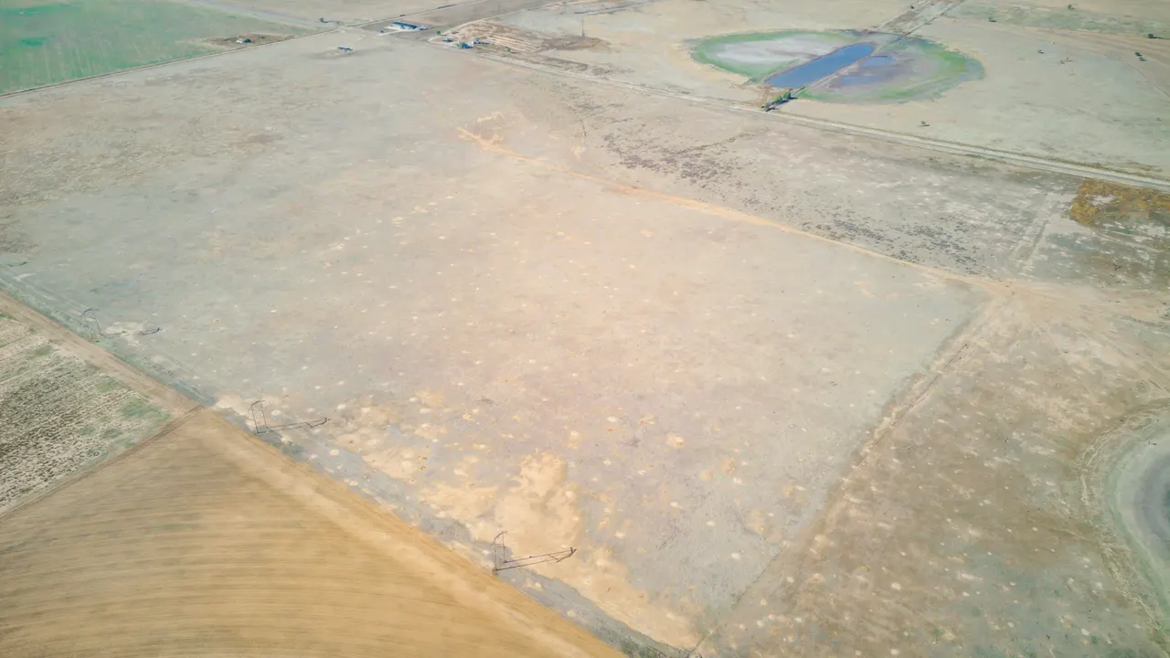 Photo 11 — FM Highway 54 / Tract 4, Abernathy, TX 79311