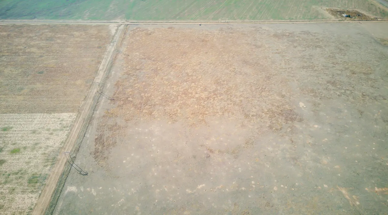 Photo 13 — FM Highway 54 / Tract 4, Abernathy, TX 79311