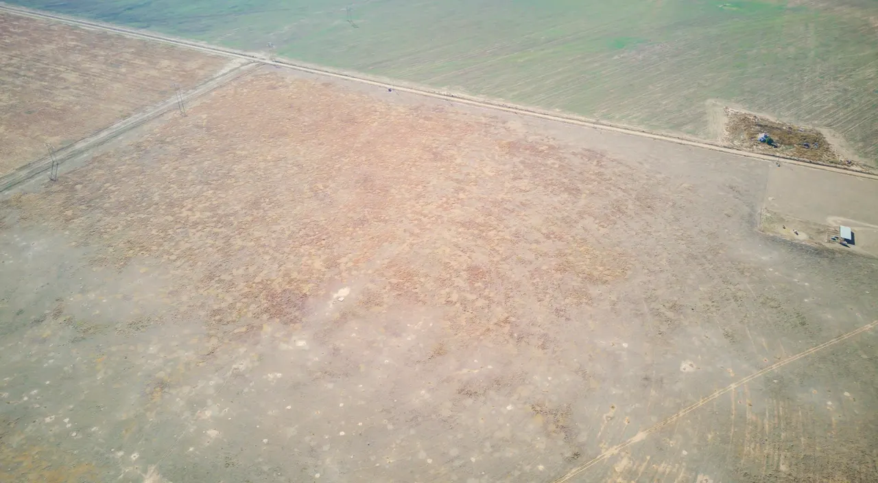 Photo 14 — FM Highway 54 / Tract 5, Abernathy, TX 79311