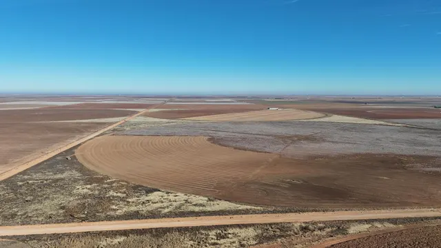 Photo 4 — 0 CR 470, Brownfield, TX 79316